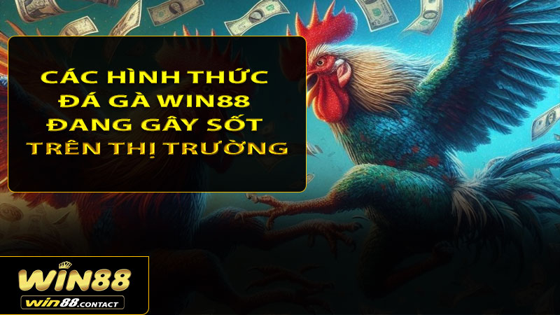 Các hình thức đá gà Win88 đang gây sốt trên thị trường