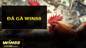 Đá Gà Win88