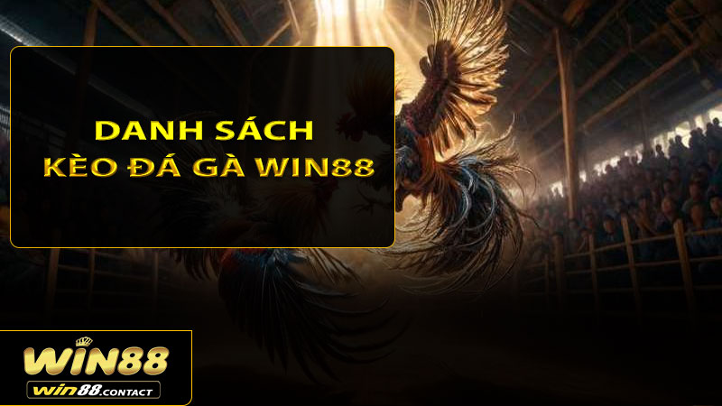Danh sách kèo đá gà Win88 đáng để cược thủ trải nghiệm ít nhất một lần